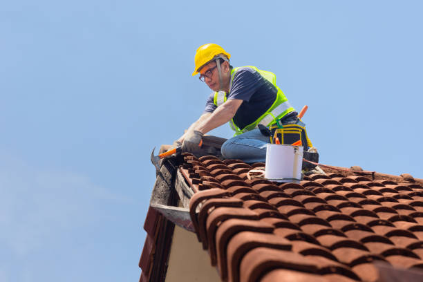 4 Ply Roofing in Woods Creek, WA